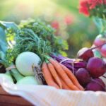 PCOD Diet Food Chart & Tips - Select IVF